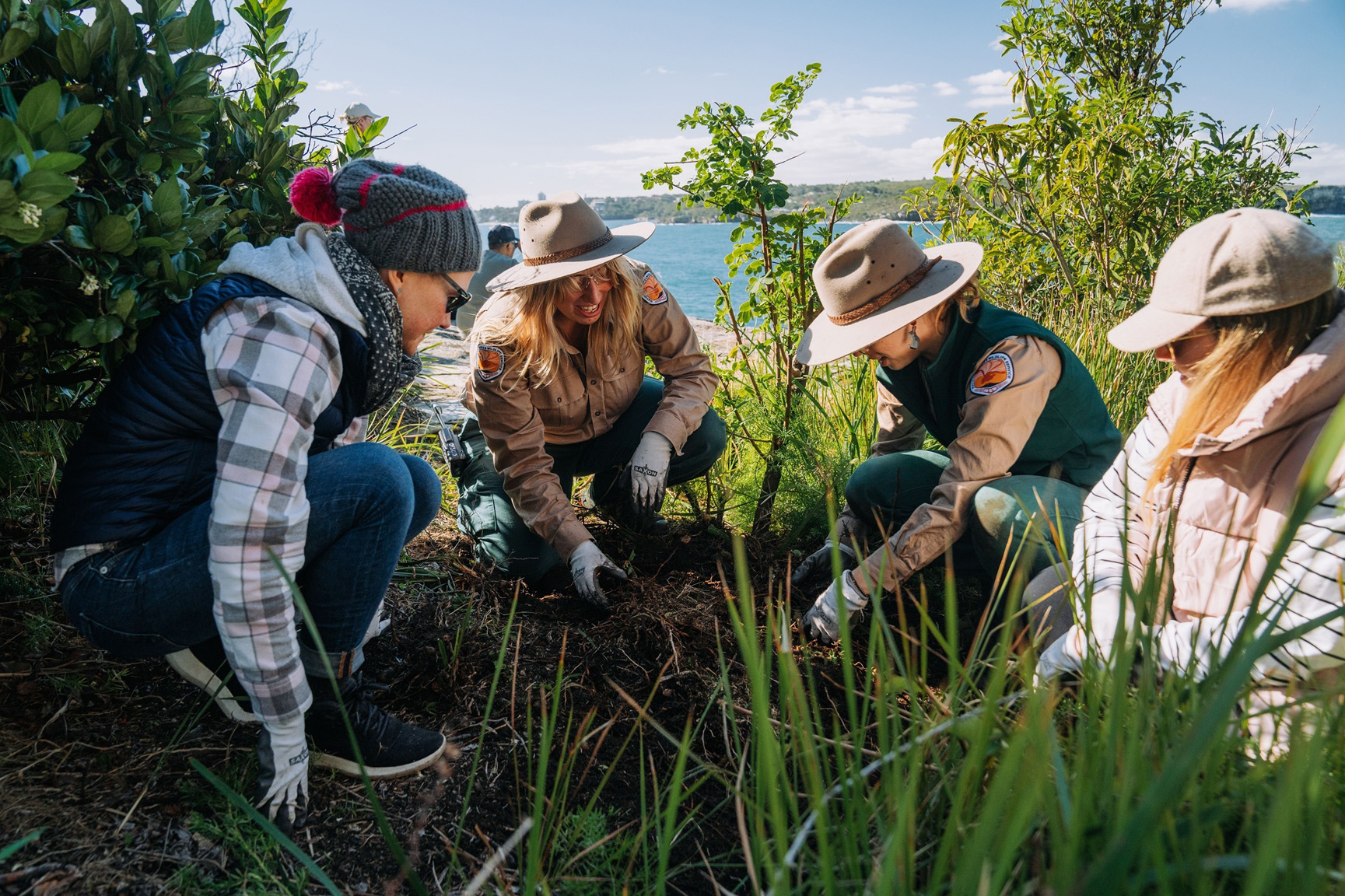 Volunteers doing weeding at Middle Head. Photo: Remy Brand/DCCEEW © Studio Bilby