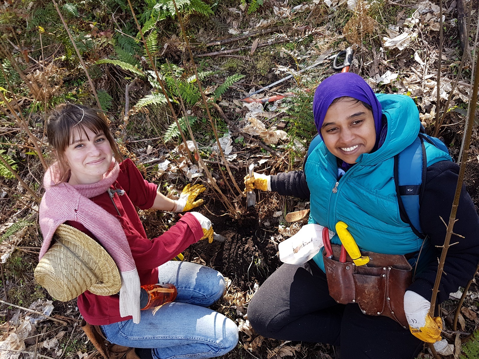 Volunteers in the Blue Mountains. Photo credit: Jakki Trenbath/DCCEEW © DCCEEW