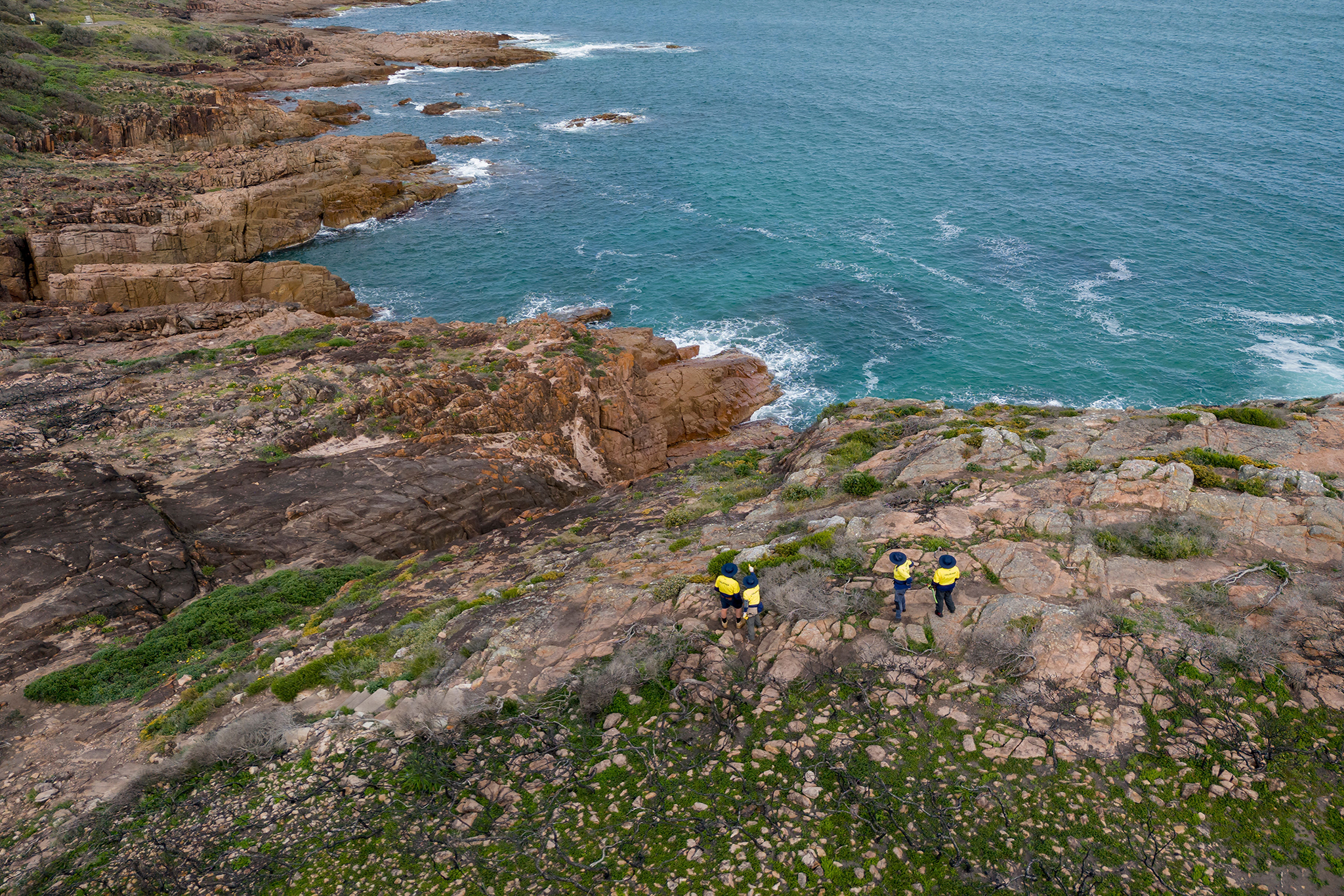 Volunteers in Tomaree National Park. Photo: John Spencer/DCCEEW © DCCEEW