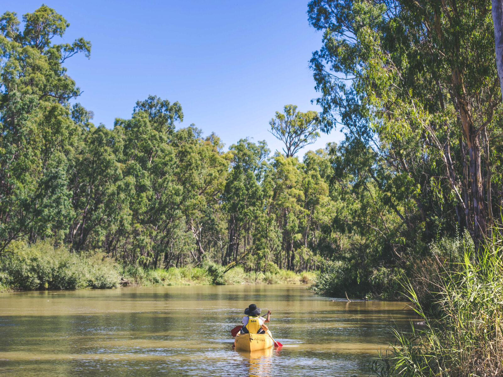 People on a canoe down the Murray River. Photo Credit: Boen Ferguson/DCCEEW © Boen Ferguson