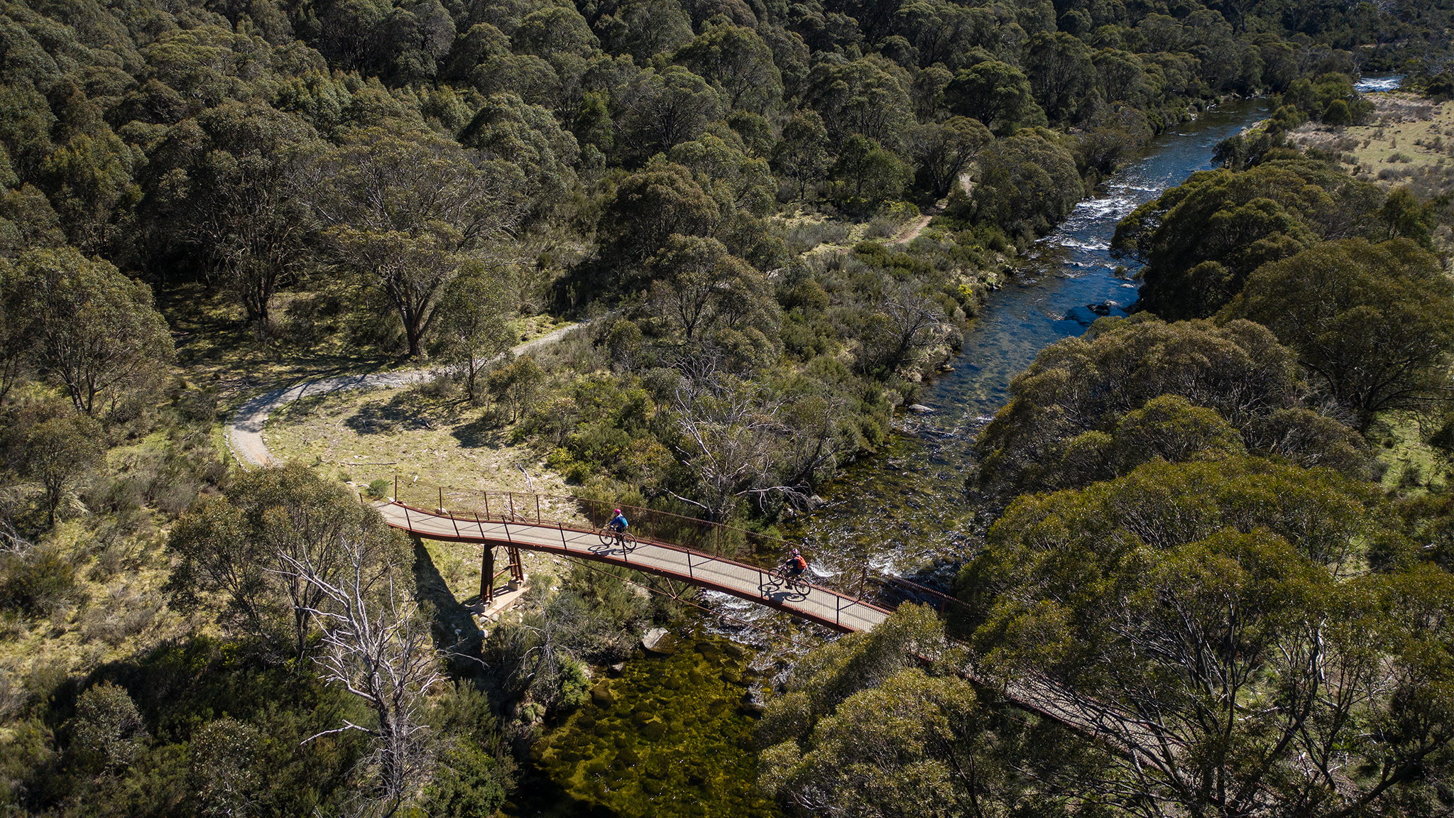 Two people cycling over a briddge on the Thredbo Valley Track in Kosciuszko National Park. Photo: Rob Mulally / DCCEEW © Rob Mulally