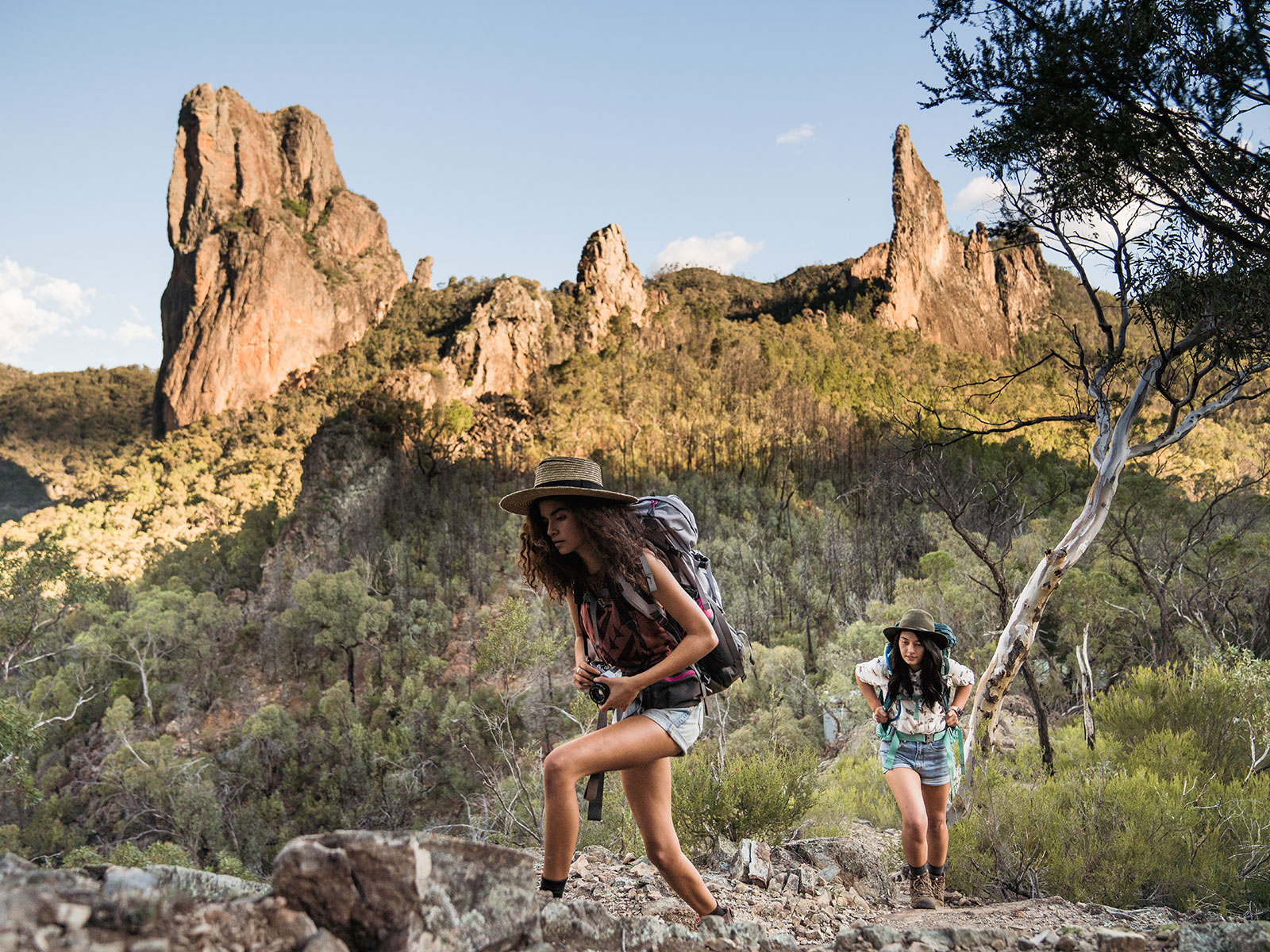 Breadknife and Grand High Tops walk, Warrumbungle National Park. Photo credit: Rob Mulally/DCCEEW © Rob Mulally