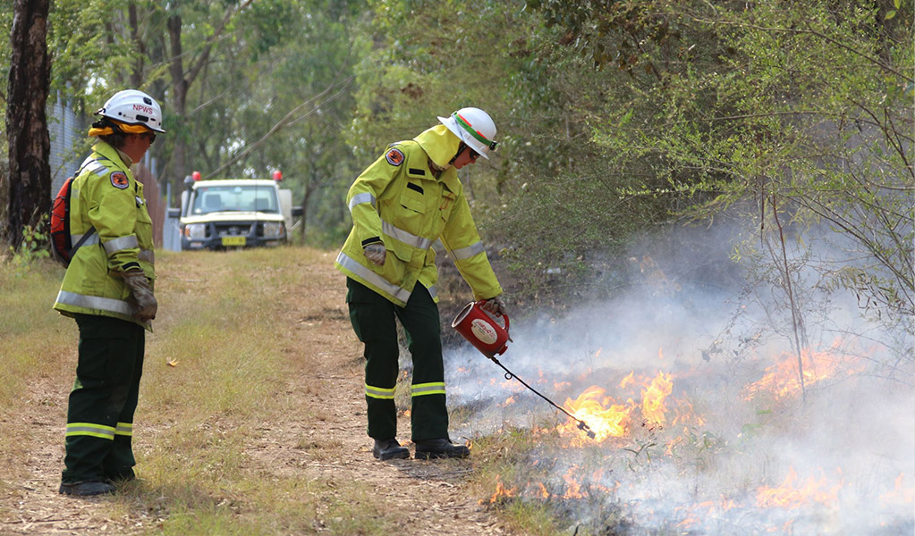 Park ranger and trainee field officer, NPWS staff conducting the Olive hazard reduction burn in Scheyville National Park. &copy; David Croft/DCCEEW