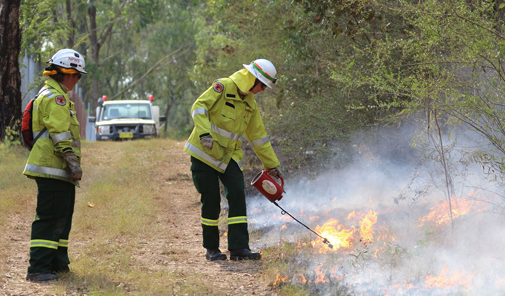 Park ranger and trainee field officer, NPWS staff conducting the Olive hazard reduction burn in Scheyville National Park. &copy; David Croft/DCCEEW