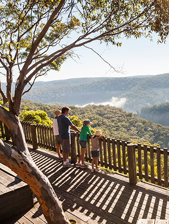 Kalkari lookout, Ku-ring-gai Chase National Park. Photo: David Finnegan