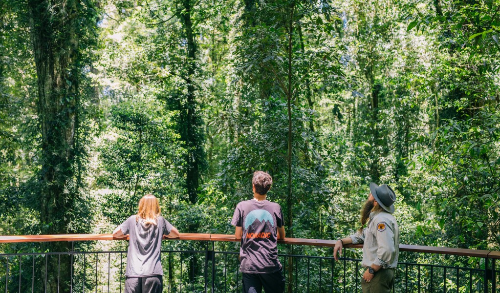 2 visitors and a guide on Wonga walk in Dorrigo National Park. Photo: Jay Black &copy; DPE