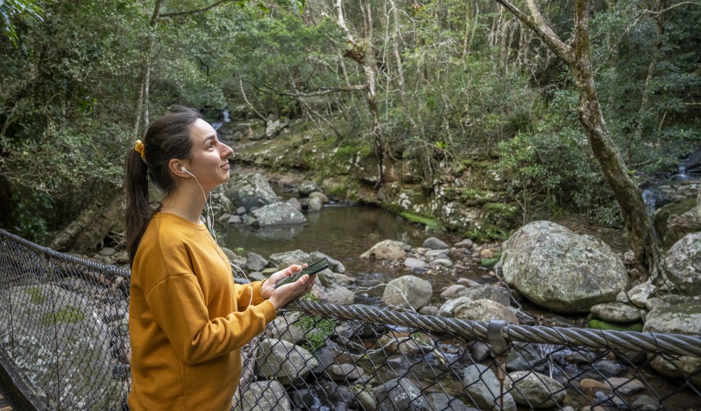 A woman listens to an audio tour on the suspension bridge in Minnamurra Rainforest. Photo: John Spencer &copy; DPE