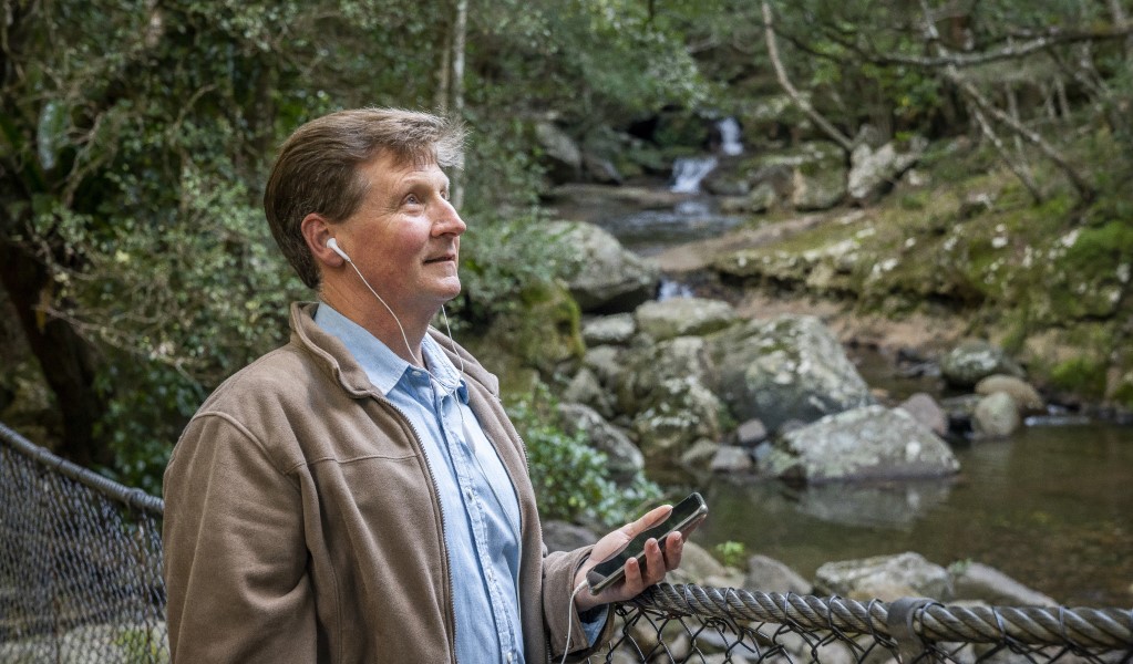 A man listens to an audio tour on the suspension bridge in Minnamurra Rainforest. Photo: John Spencer &copy; DPE