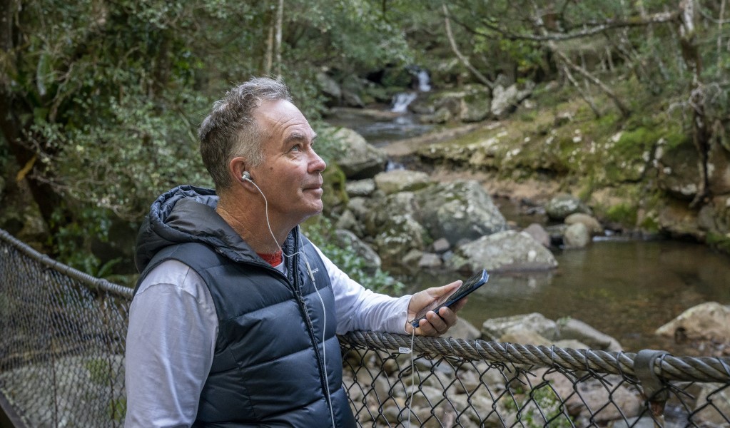 A man listens to an audio tour on the suspension bridge in Minnamurra Rainforest. Photo: John Spencer &copy; DPE