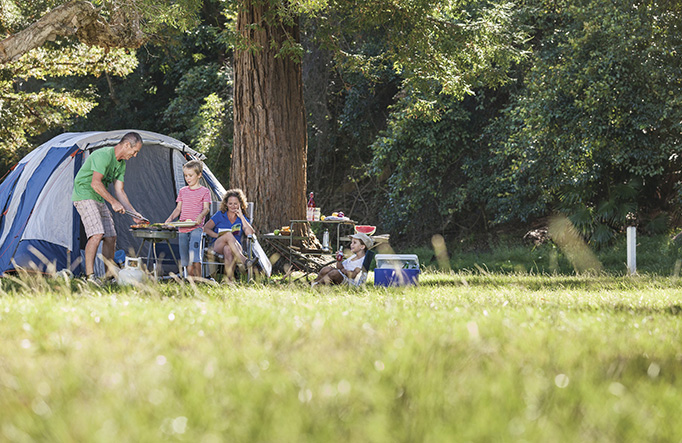 The Basin campground, Ku-ring-gai National Park. Photo credit: David Finnegan &copy; DPIE