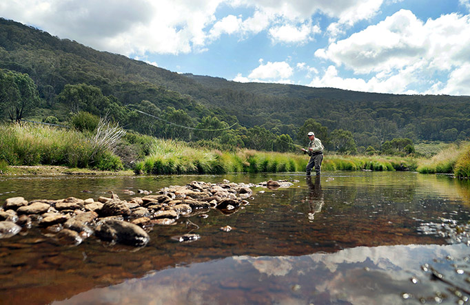 A man casts a fly-fishing line in a river near Thredbo, Kosciuszko National Park. Photo: Thredbo Resort