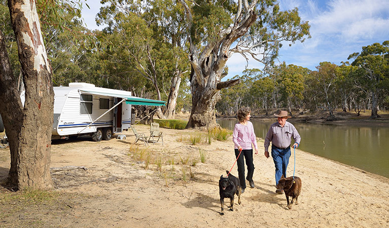 A couple walk two dogs near at riverside Willoughby's Beach campground, Murray Valley Regional Park. Photo: Gavin Hansford &copy; DPIE