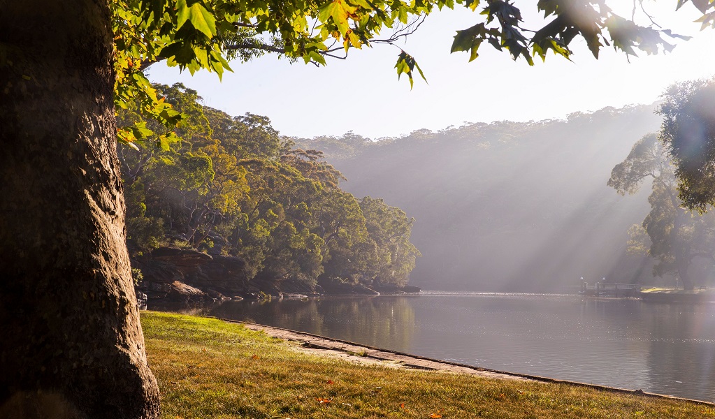 Sunrise at Audley Weir, Royal National Park. Credit: Steve Christo/DCCEEW &copy; DCCEEW