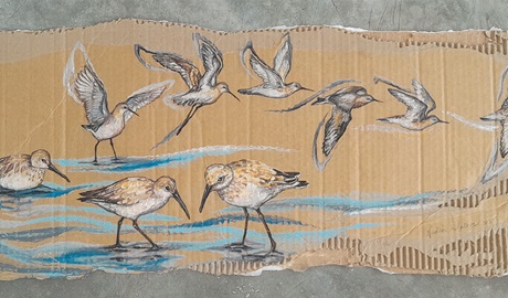 A drawing of water birds from the Pilliga Scrub on cardboard that's featured in an art exhibition at the Pilliga Forest Discovery Centre. Credit &copy; Nadia Waters