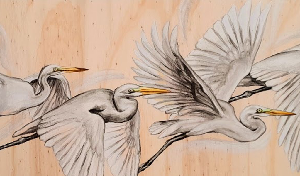 Part of a drawing of flying birds from the Pilliga Scrub that's featured in an art exhibition at the Pilliga Forest Discovery Centre. Credit &copy; Nadia Waters