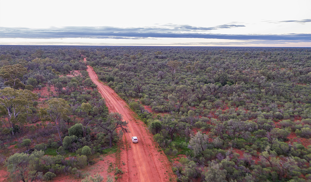 Car driving on red dirt road in Gundabooka National Park during a guided tour with Ardent Quest. Credit &copy; Destination NSW