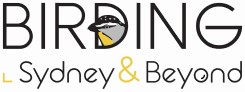 Birding Sydney and Beyond logo. Photo &copy; Birding Sydney and Beyond