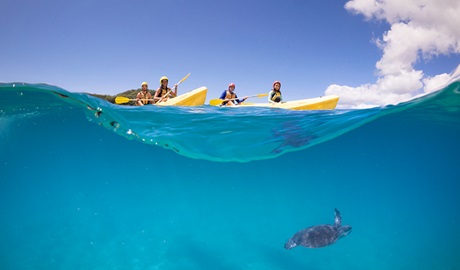 People paddle 2 yellow kayaks over the waves as a sea turtle swims below the surface. Photo &copy; Cape Byron Kayaks