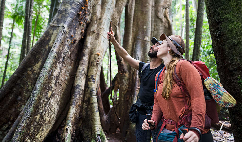 Walkers admiring a huge tree on a Vision Walks eco tour. Photo &copy; Vision Walks Eco Tours
