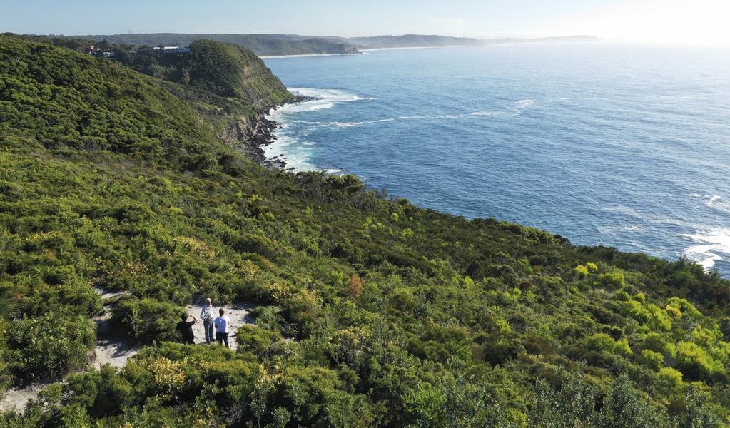 People pause on a tour led by an NPWS guide. The group is surrounded by coastal scrub leading down to the ocean, near Newcastle, Awabakal Nature Reserve. Photo: Adam Hollingsworth/DCCEEW &copy; DCCEEW