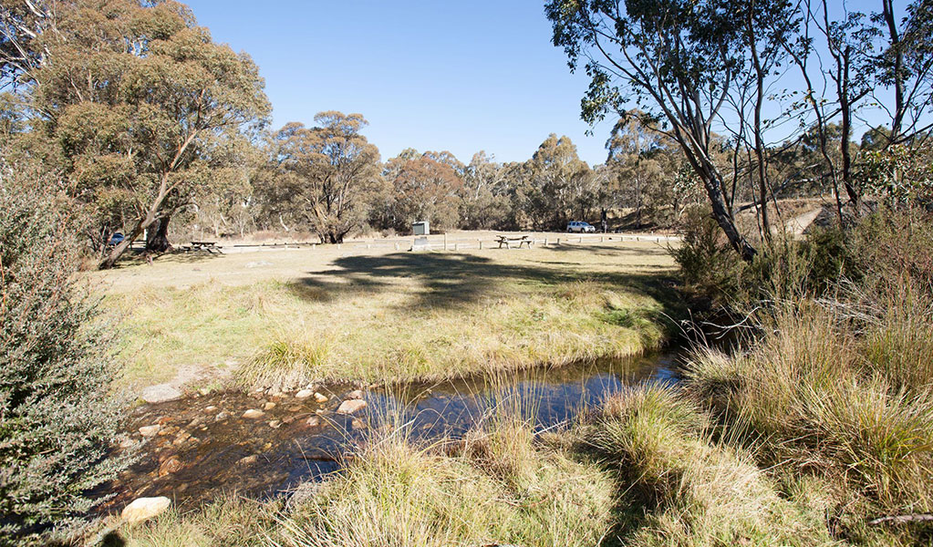Sawpit Creek picnic area in Kosciuszko National Park. Credit: Murray Vanderveer/DCCEEW &copy; OEH