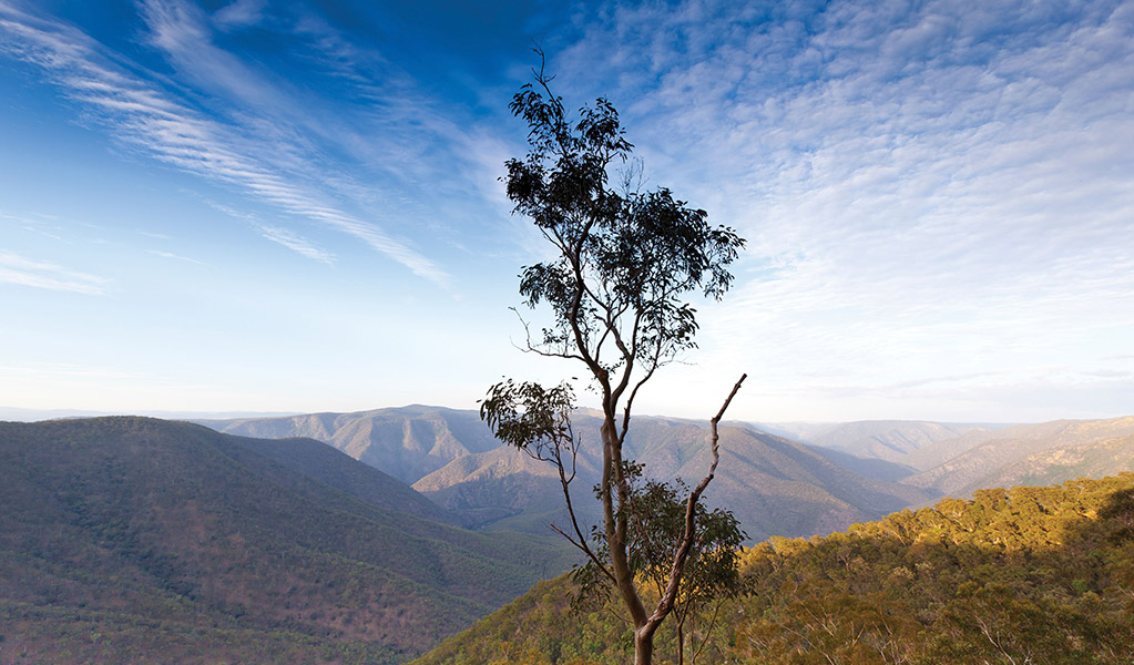 The view from Salisbury Waters walking track, Dangars Falls, Oxley Wild Rivers National Park. Credit: Josh Smith/DCCEEW &copy; DCCEEW