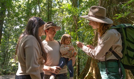 Two young parents and a baby with a NPWS ranger on a guided rainforest tour in Dorrigo National Park. Credit: John Spencer &copy; DCCEEW