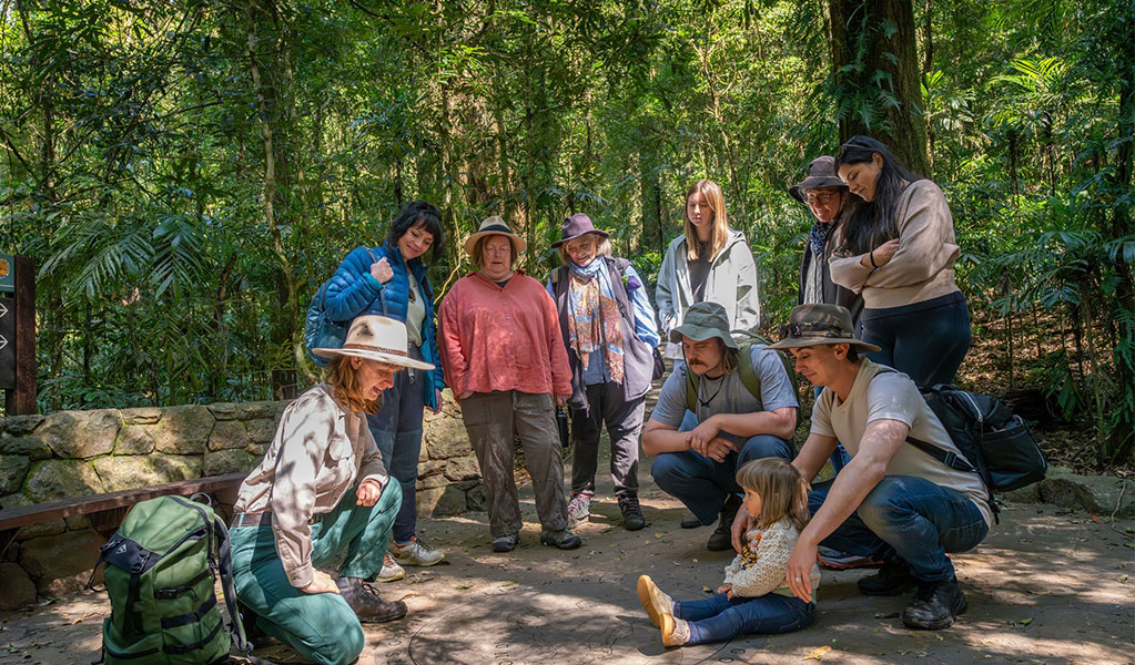 A tour group looking at the rainforest floor in Dorrigo National Park. Credit: John Spencer &copy; DCCEEW
