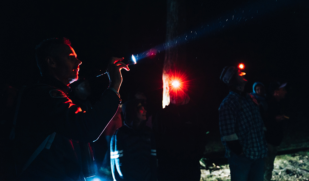 A group holding torches on an after dark spotlight tour through Dorrigo National Park. Credit: Jay Black &copy; DCCEEW