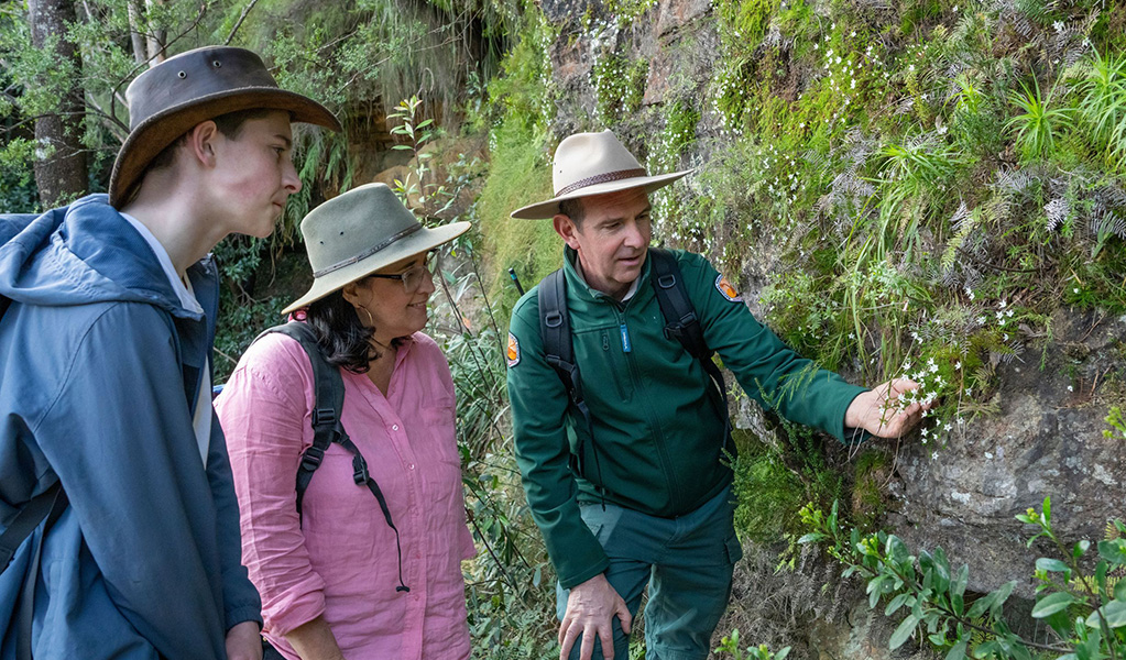 A NPWS guide showing visitors flowers on a nature walk in Fitzroy Falls. Credit: John Spencer &copy; DCCEEW