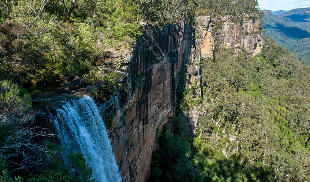 A view of Fitzroy Falls in the eucalypt rainforest of Morton National Park. Credit: Michael Van Ewijk/DCCEEW &copy; OEH