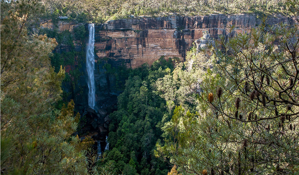 Waterfall and bushland in Fitzroy Falls, Morton National Park. Credit: Michael Van Ewijk/DCCEEW &copy; OEH