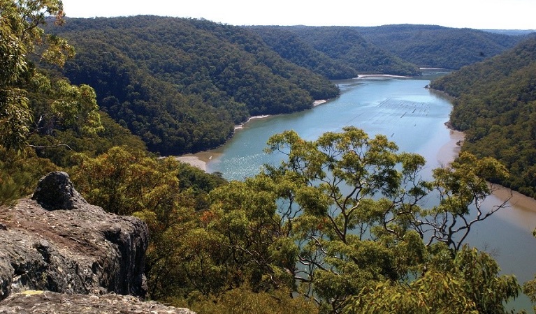 Views of Mooney Mooney creek in Brisbane Water National Park along the Great North walk. Credit: Barry Collier &copy; DPIE