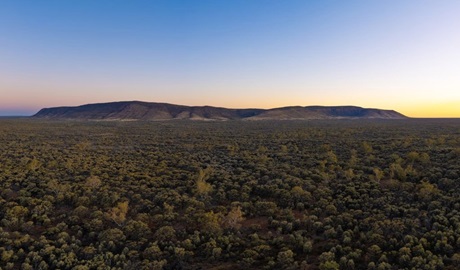 Mount Gunderbooka mountain range in the distance at sunset, Gundabooka National Park. Credit: Andrew Hull/DCCEEW &copy; DCCEEW