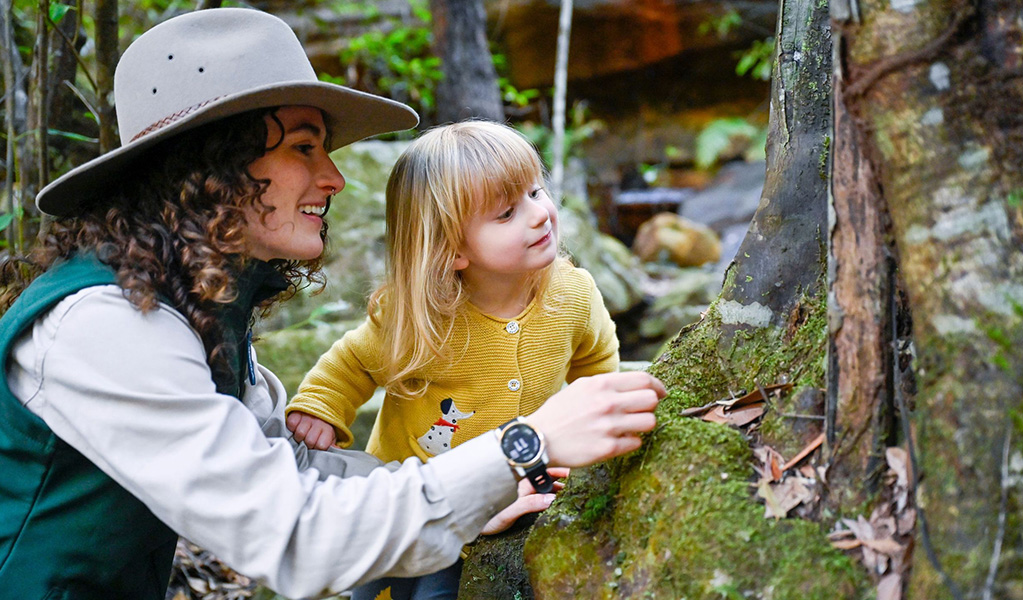 Discovery ranger showing a young child native plants in Fitzroy Falls, within Morton National Park. Credit: Adam Hollingworth &copy; DPE