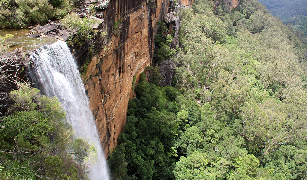 Waterfall plunging over bushland at Fitzroy Falls in Morton National Park. Credit: John Yurasek &copy; OEH