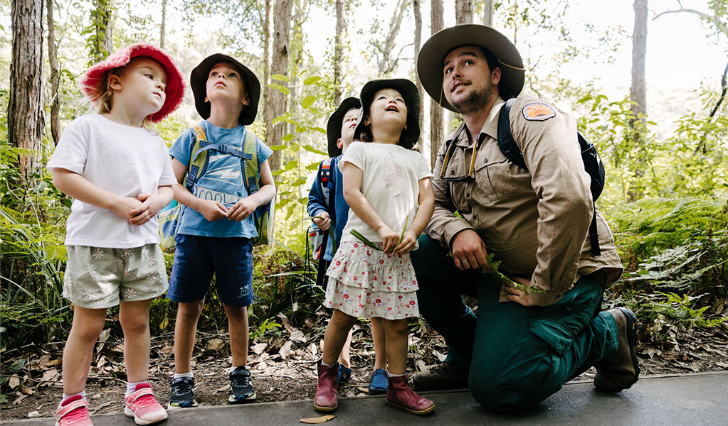 A Discovery ranger looking at trees with a tour group of young kids. Credit &copy; Zain Kruyer/DCCEEW