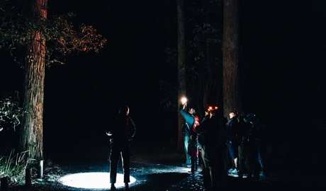 People on a spotlight tour at night in Lake Innes Nature Reserve. Credit: Jay Black/DCCEEW &copy; DCCEEW