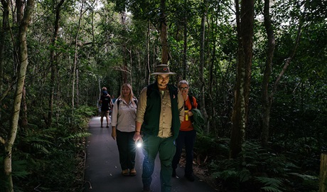 Discovery ranger holding a torch and a tour group in Minnamurra Rainforest on an after dark walk. Credit &copy; Zain Kruyer/DCCEEW