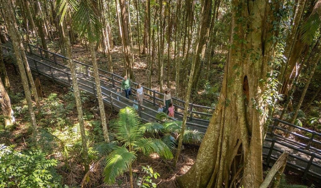 People walking along the Sea Acres National Park rainforest boardwalk on a guided tour. Credit: John Spencer &copy; DCCEEW