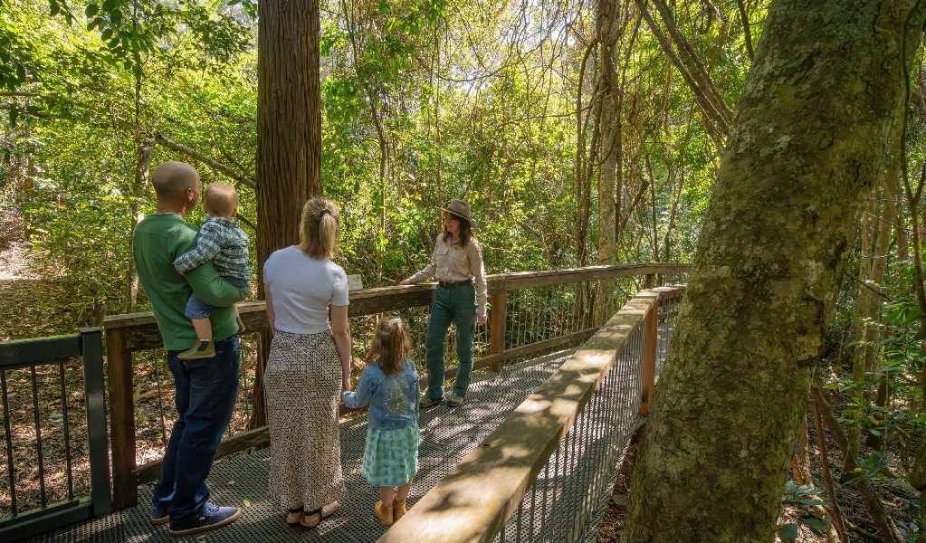 A family listening to a NPWS ranger on a guided tour of the rainforest boardwalk in Sea Acres National Park. Credit: John Spencer &copy; DCCEEW