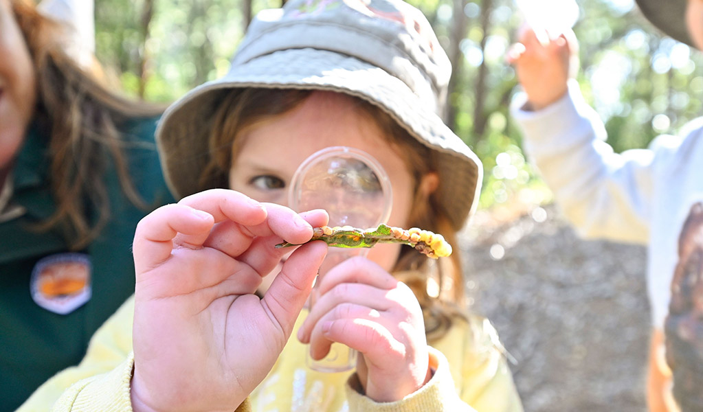 A child uses a magnifying glass to study a plant. Credit: Adam Hollingworth/DCCEEW &copy; DCCEEW
