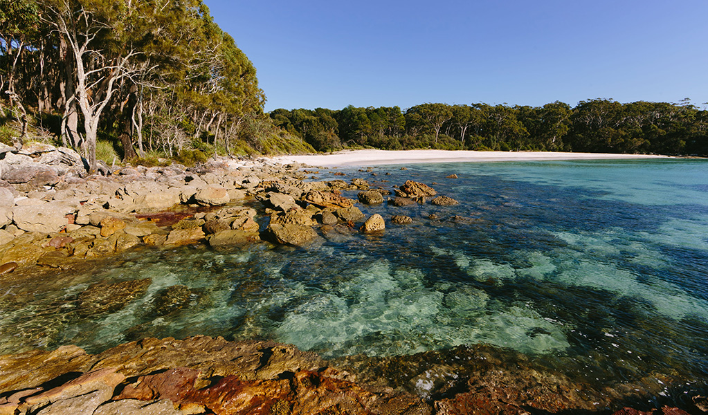 Greenfields Beach in Jervis Bay National Park along the White Sands walks. Credit: David Finnegan/DCCEEW &copy; OEH