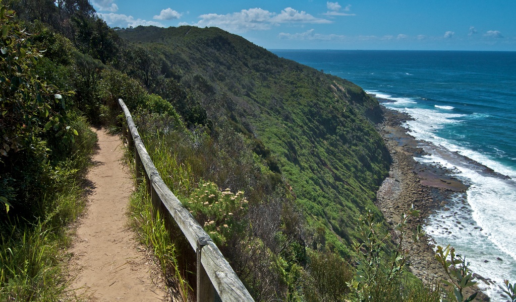 The coast walking track in Wyrrabalong National Park where guided nature tours run. Credit: John Spencer &copy; OEH