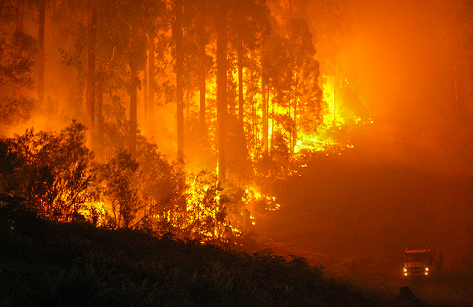 Fire and the Australian bush. Photo: OEH
