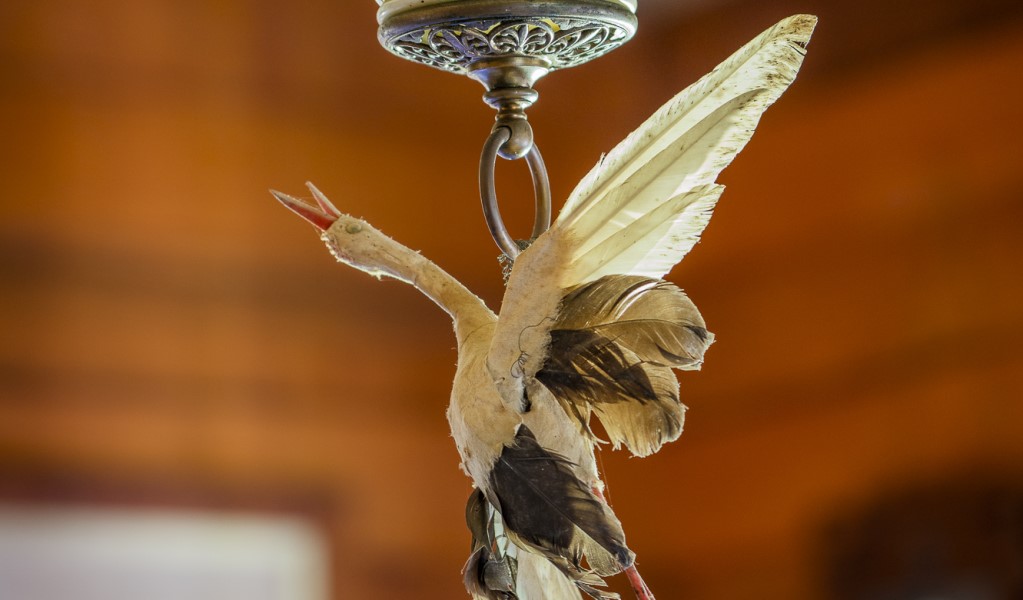 A figure of a seagull hanging from the kerosene light in the parlour at Craigmoor House. Photo: John Spencer &copy; DPE