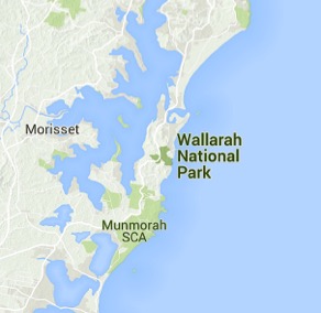 Wallarah NP