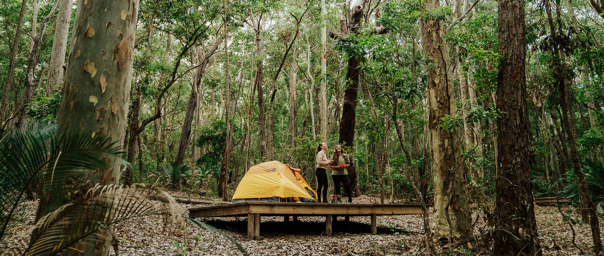 Campers standing on a hardwood tent platform at Oaky Beach campground. Credit: Remy Branch/DCCEEW &copy; Remy Brand
