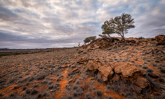 Sunrise in Mutawinji National Park. Photo: John Spencer/OEH