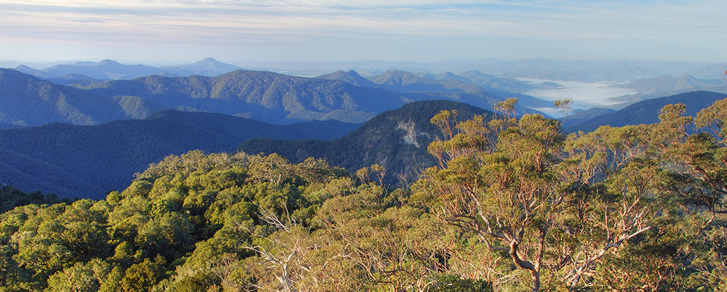 Landscape views from New England National Park. Photo: Shane Ruming &copy; Shane Ruming
